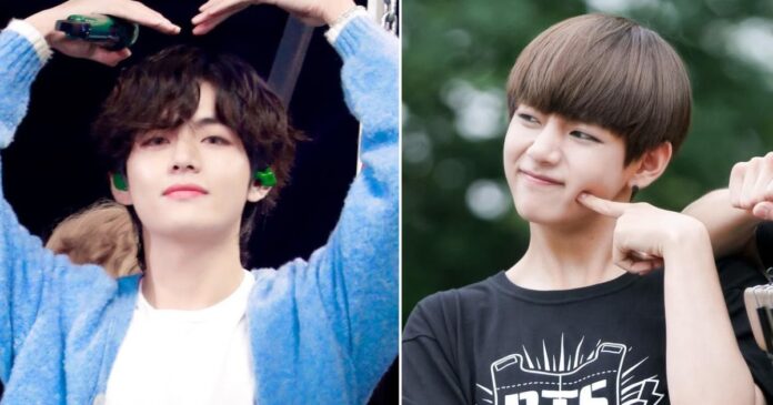 BTS's V Gains Attention After An Interaction With A Tour Guide In America Showcases His True Personality