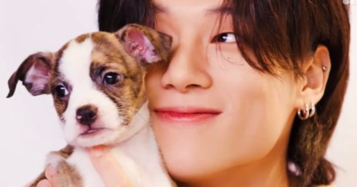 ATEEZ's Wooyoung With Puppies Is A Match Made In Heaven